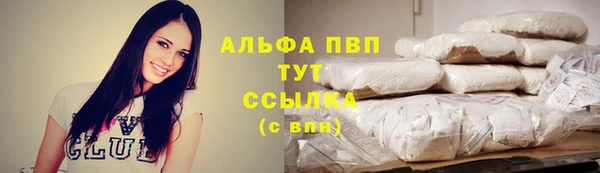 ГАЛЛЮЦИНОГЕННЫЕ ГРИБЫ Белоозёрский