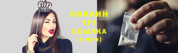 мяу мяу мука Беломорск