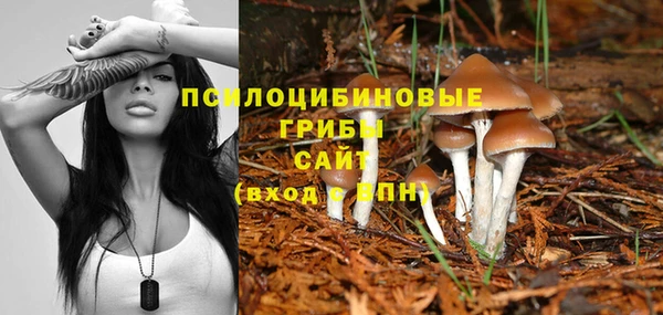 ГАЛЛЮЦИНОГЕННЫЕ ГРИБЫ Белоозёрский