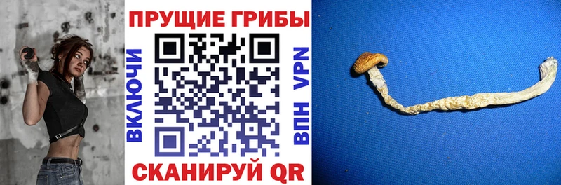 Галлюциногенные грибы ЛСД  Купить  Курчатов 